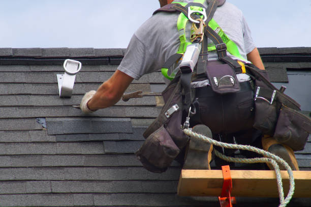 Siding Installation